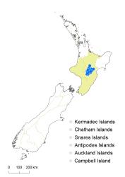 Veronica colensoi distribution map based on databased records at AK, CHR & WELT.
 Image: K.Boardman © Landcare Research 2022 CC-BY 4.0